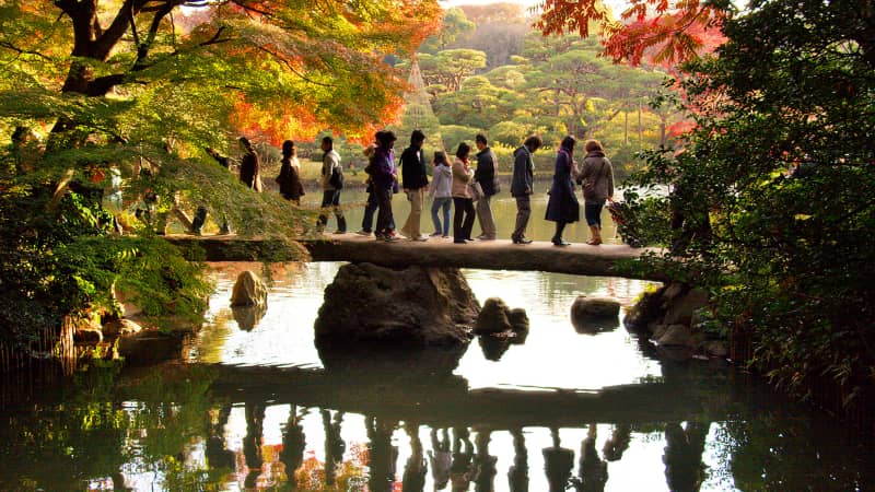 Rikugien, Tokyo fall leaves