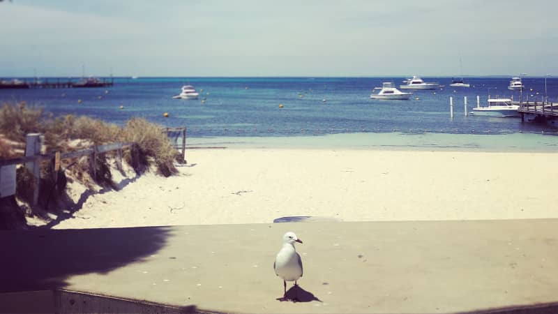 Western Australia's Rottnest Island is a car-free A-class nature reserve.