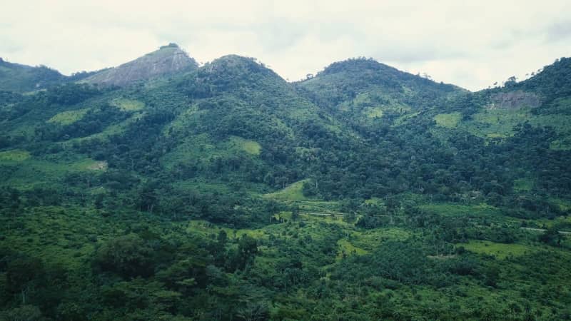 Côte d'Ivoire has rolling hills and mountains covered with lush greenery.