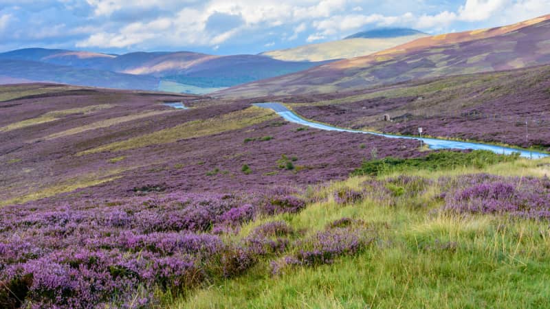Cairngorms: Britain at its wildest and most beautiful.