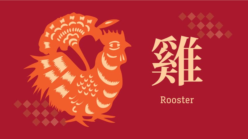 10-rooster