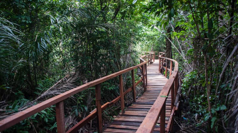 Nigeria is home to Africa's longest canopy walk. 