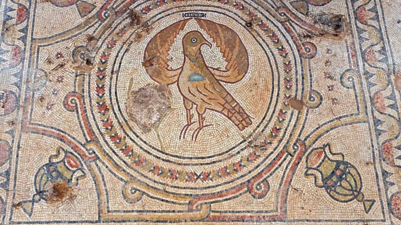 Archaeologists discovered a mosaic depicting an eagle, the symbol of the Byzantine Empire.