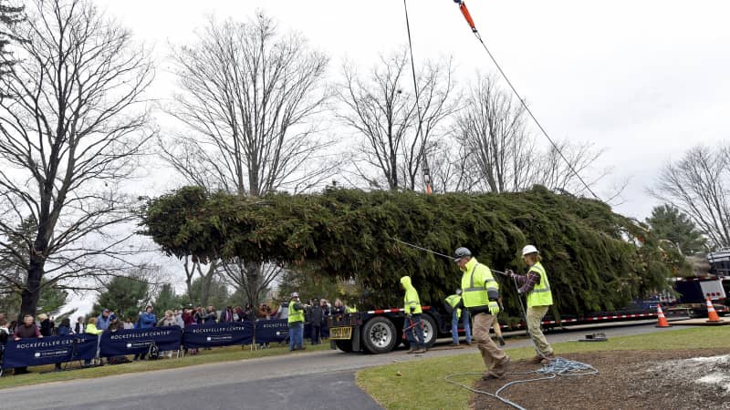 The next Rockefeller Center Christmas tree is off to Manhattan. It was cut down Thursday and will arrive at 30 Rock on Saturday.