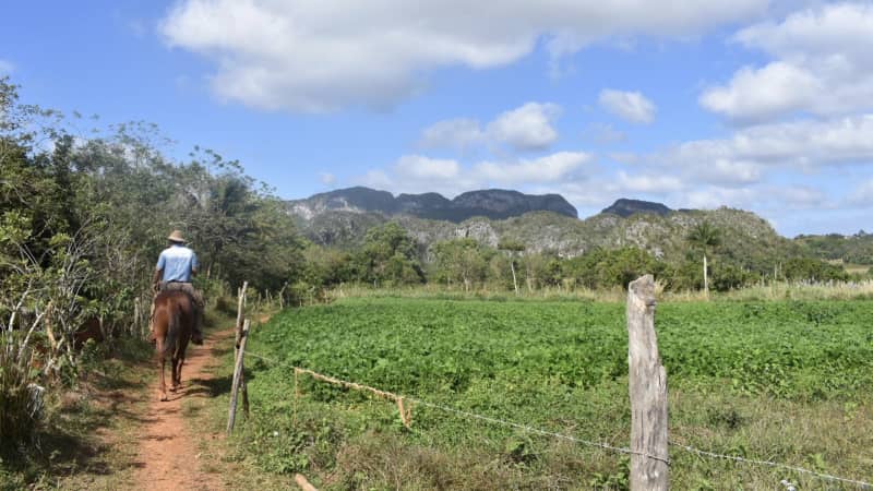 Visitors can tour tobacco farms in the province of Pinar del Rio. 