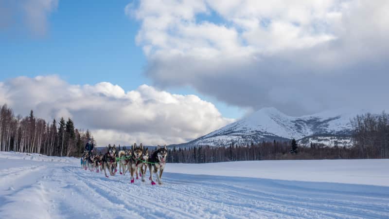 The trail can cover up to 1,000  miles. 