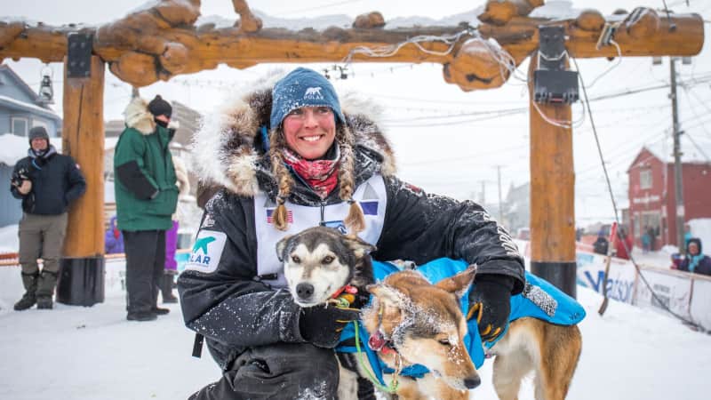 The dogs are really the stars of the Iditarod race. 