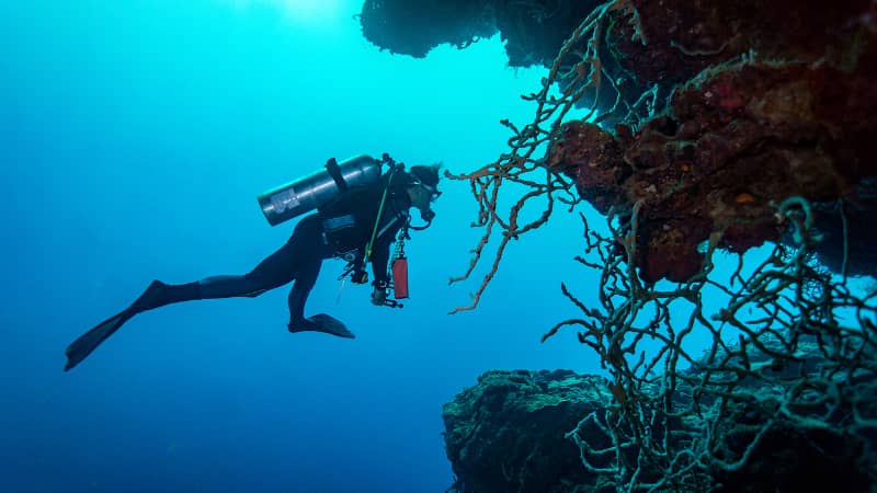 Sunken ships lure divers to the Solomon Islands.