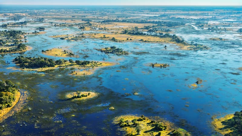 Each year when the Okavango River floods with water, it transforms into a spectacular wilderness. 