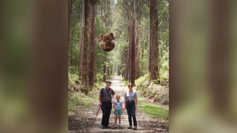 In this picture, which is definitely photoshopped, a drop bear attacks an innocent family.