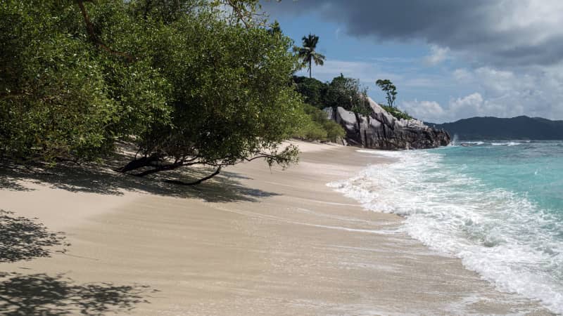 A picture taken on November 21, 2019, shows a nesting beach of hawksbill turtles in Cousin Island, a nature reserve island managed by Nature Seychelles, a national environmental NGO, Seychelles