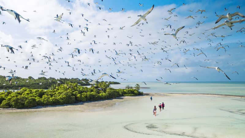Images of the Outer Islands of the Seychelles courtesy of Blue Safari