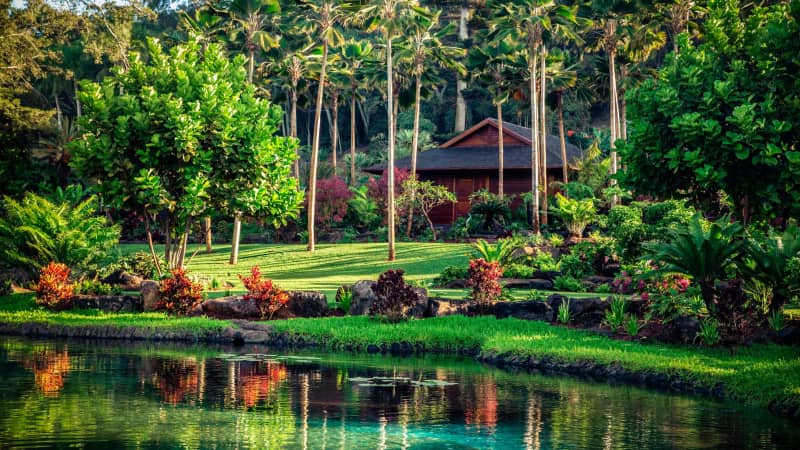 Private spa cottages are scattered among lush foliage at Sensei Lanai.