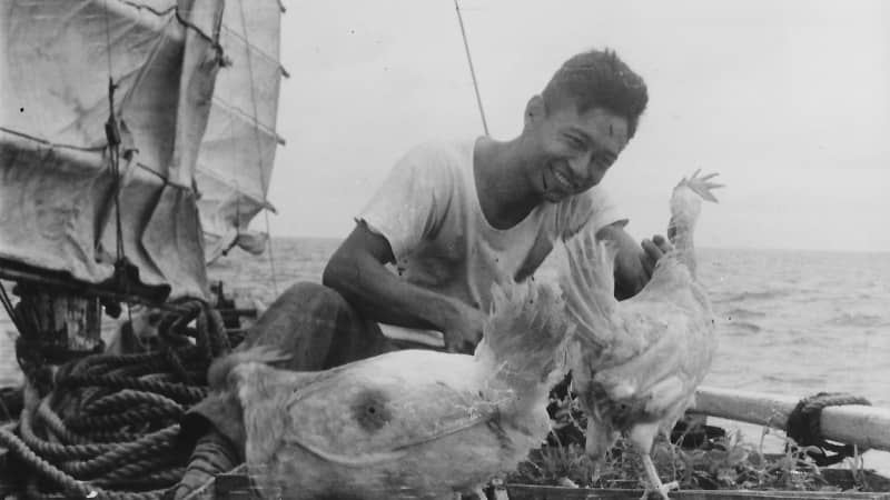 The crew set sail with two egg-laying hens. 