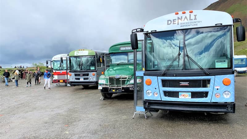 Denali's renowned adventure road tours were running at nearly full capacity on this day.