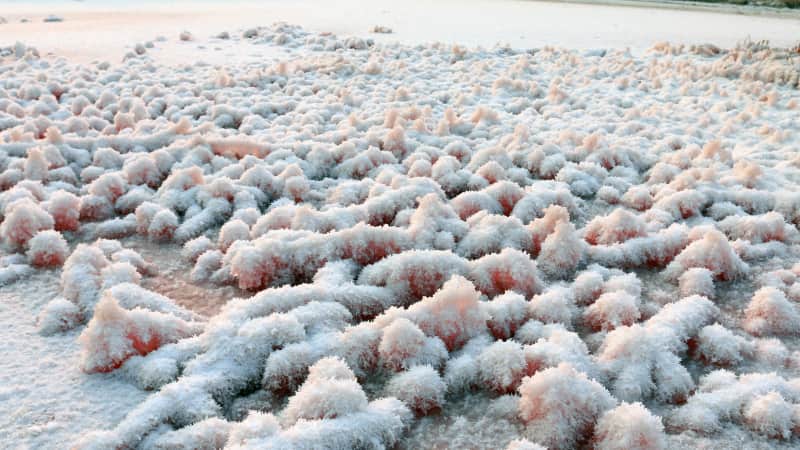 Salt crystals form on the top of Xiechi Lake.