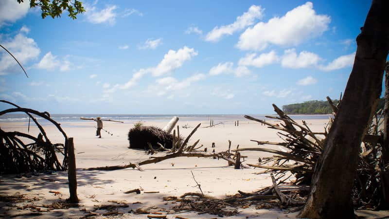 Ilha do Marajó has the feel of an uninhabited island. But the large island in the Amazon River actually is home to a sizable community.