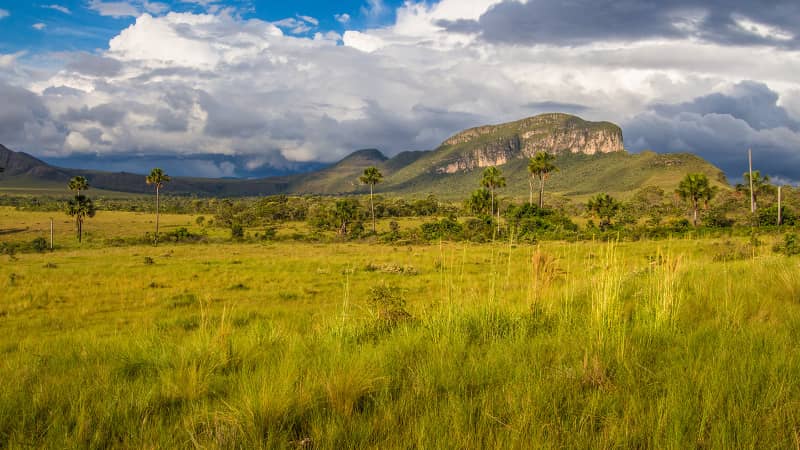 Jardim de Maytrea is a magical spot within Chapada dos Veadeiros National Park in central Brazil.