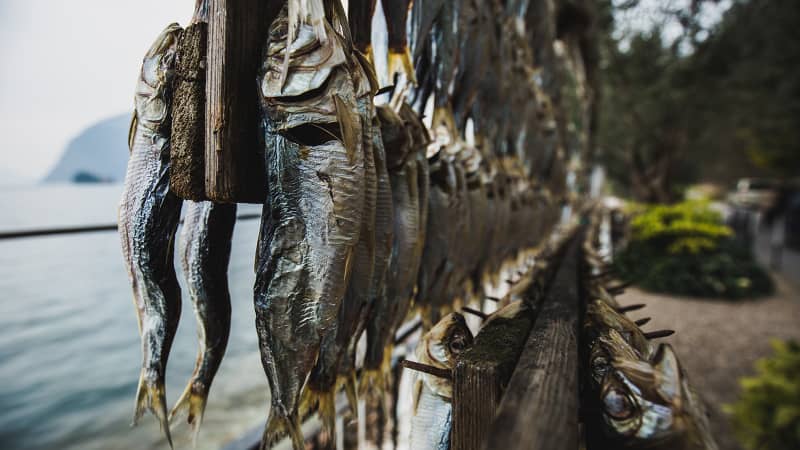The fishermen of Lake Iseo hang out their sardines to dry in the sun.