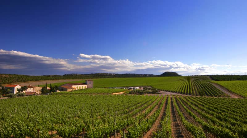Château l'Hospitalet is a coastal winery and boutique hotel situated within the vines of the La Clape appellation. 