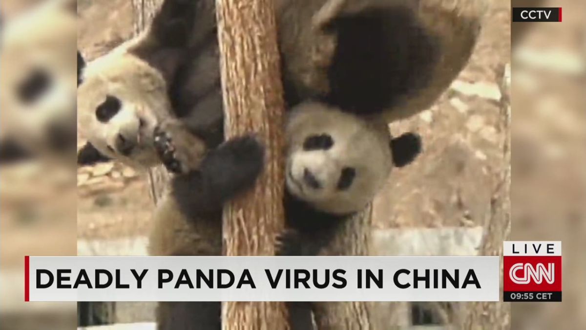 panda virus