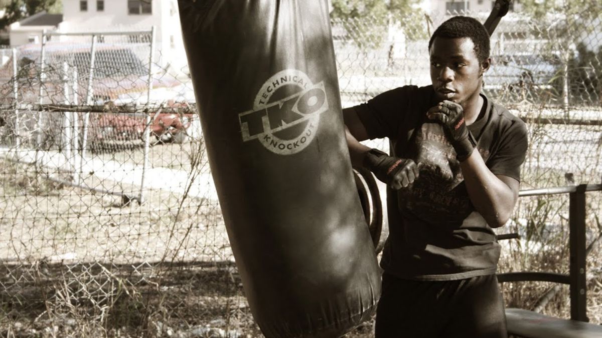 Where Dawg Fights Pay The Bills Opinion Cnn