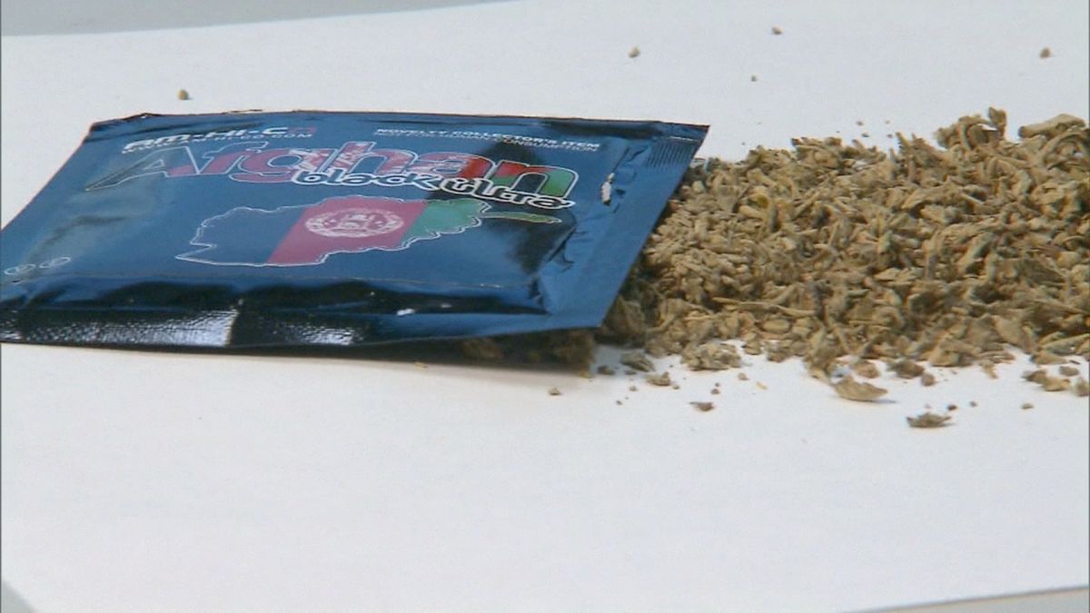 New study finds that synthetic weed far more potent than real marijuana -  ABC7 New York