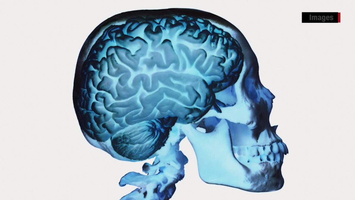 9 unanswered questions about the human brain