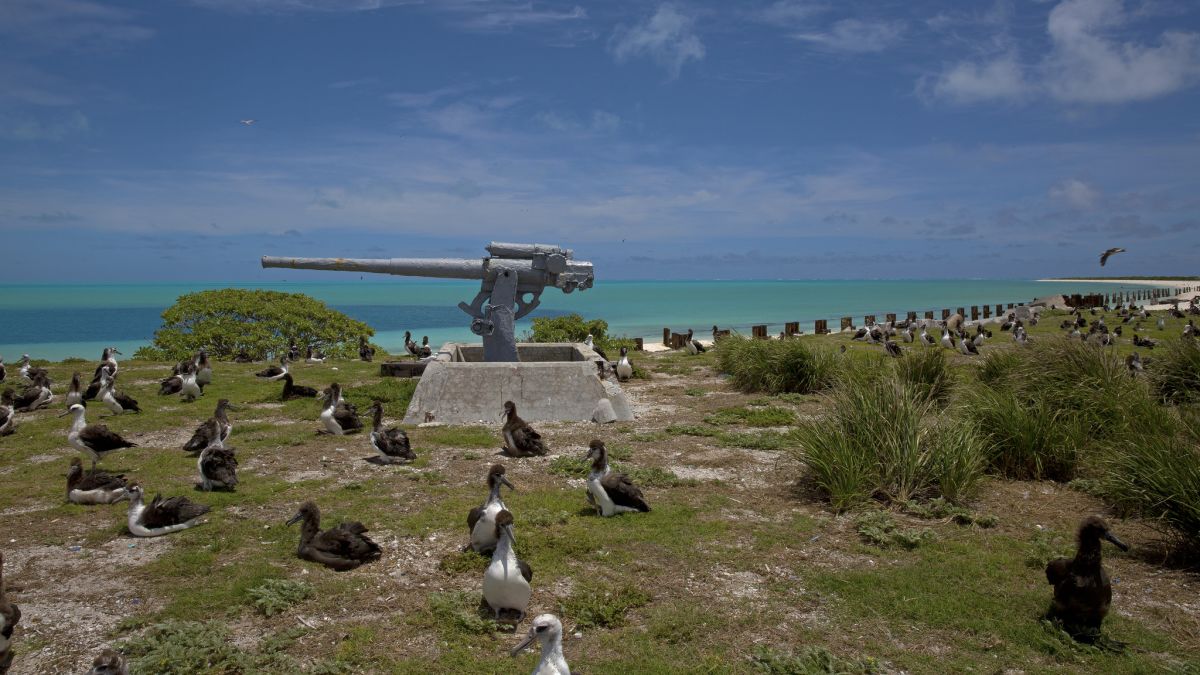 The most Remote Place in America : Midway Atoll
