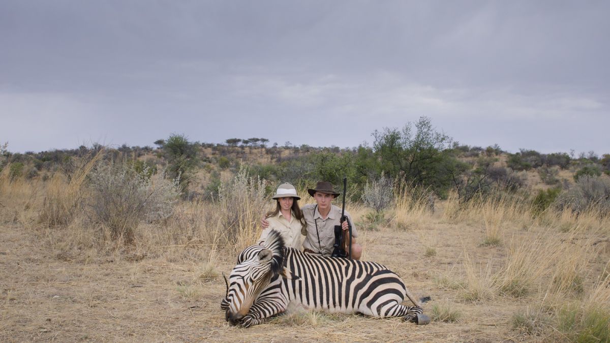 Safari': Inside the dark world of trophy hunting | CNN