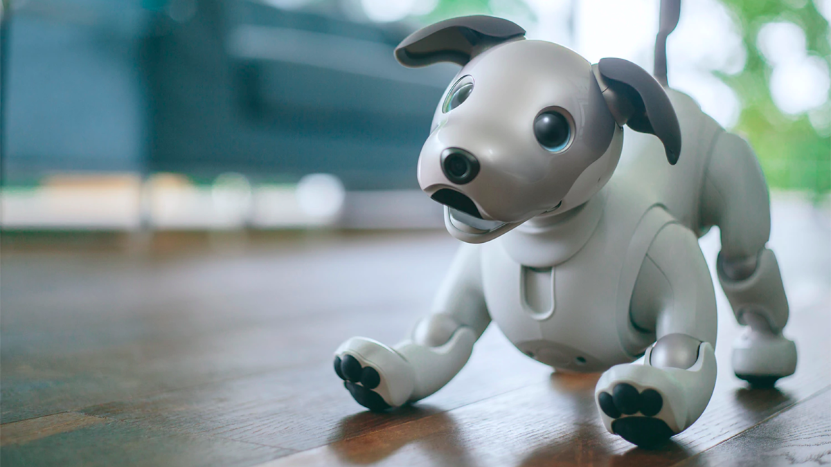 farvel forsøg Kan Sony's Aibo robot dog is back | CNN Business