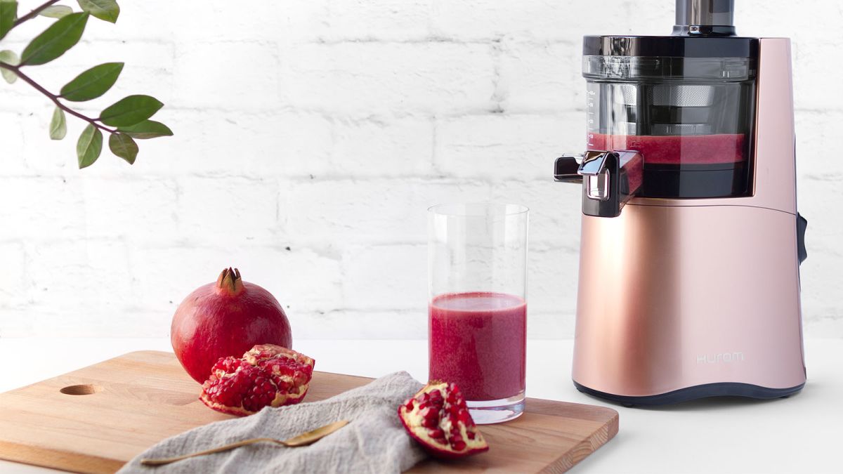 which fruit juicer is best