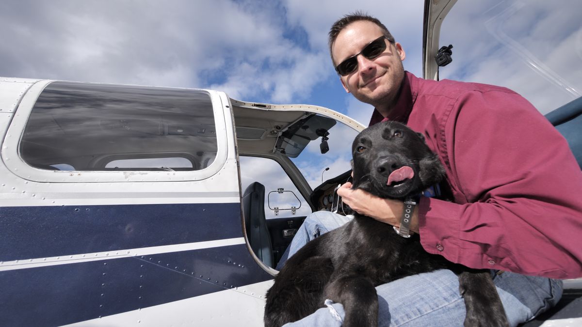 Dog lover flies 'paw-sengers' to safety