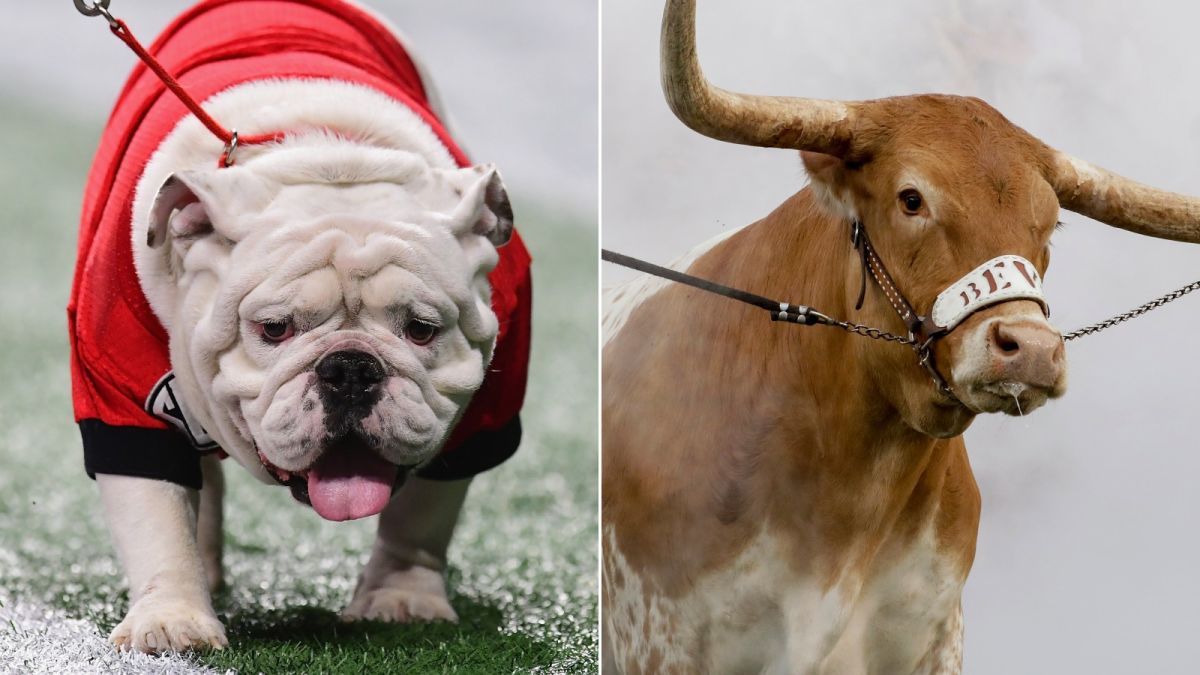 Here's why college football teams use live animals as mascots | CNN
