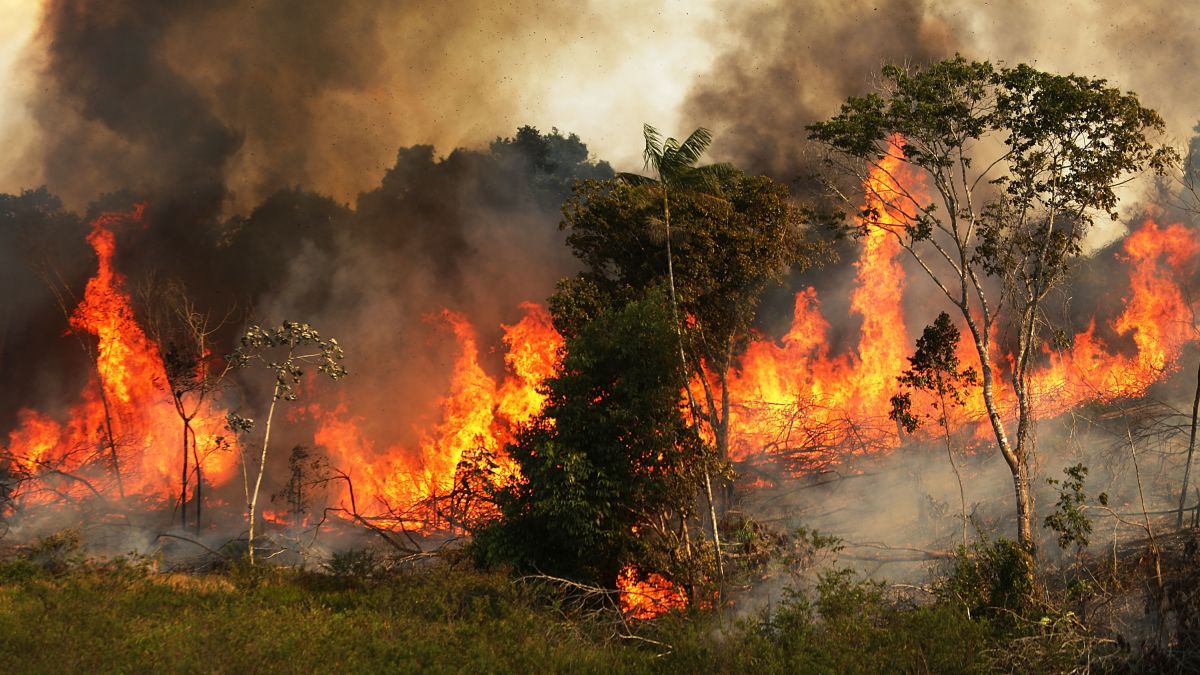 The Amazon Lost The Equivalent Of 8 4 Million Soccer Fields This Decade Due To Deforestation Cnn