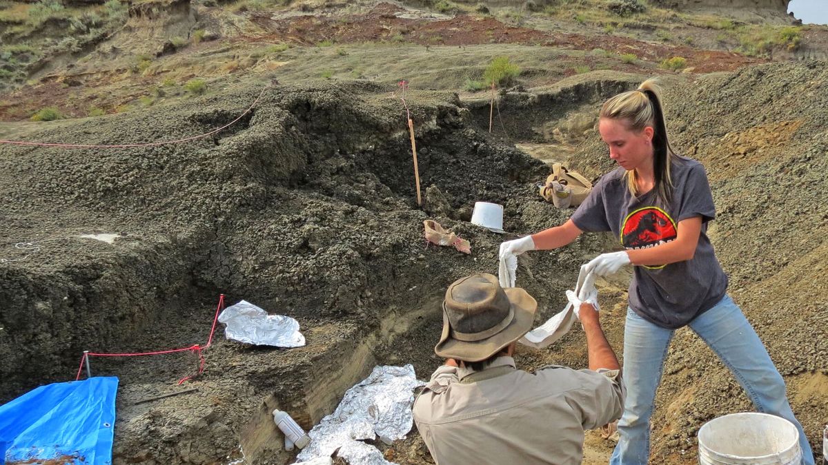 A 'fossil graveyard' is linked to the asteroid that killed off the dinosaurs,  study says | CNN