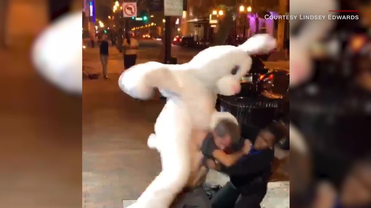 compañero Hostil autobiografía Un hombre disfrazado de conejo intervino en una pelea callejera - CNN Video