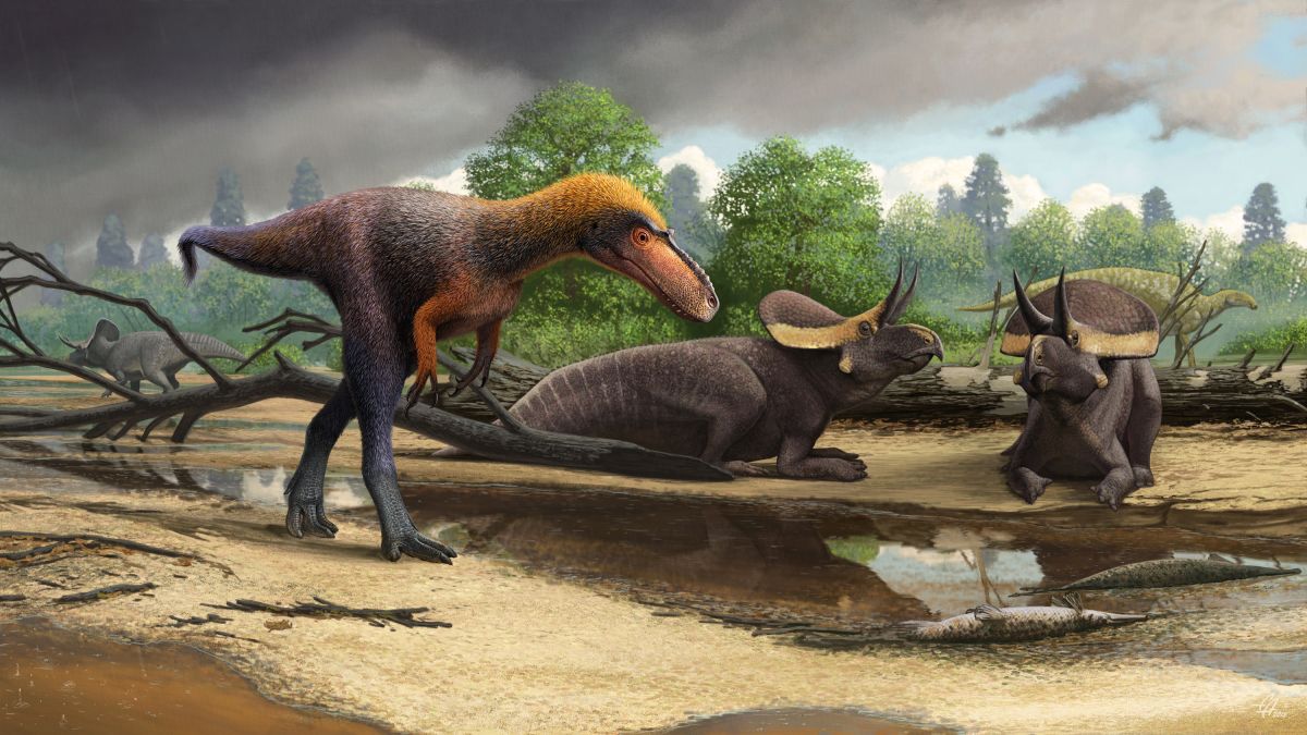 Newly discovered, primitive cousins of T. rex shed light on the