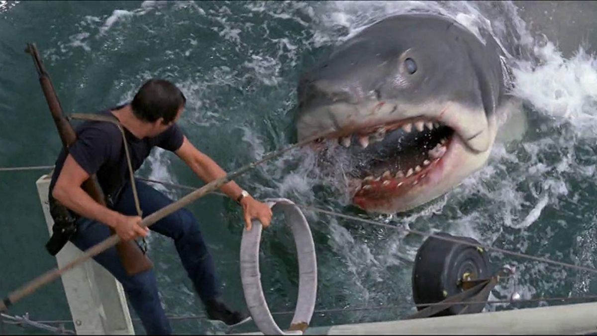 Image result for jaws