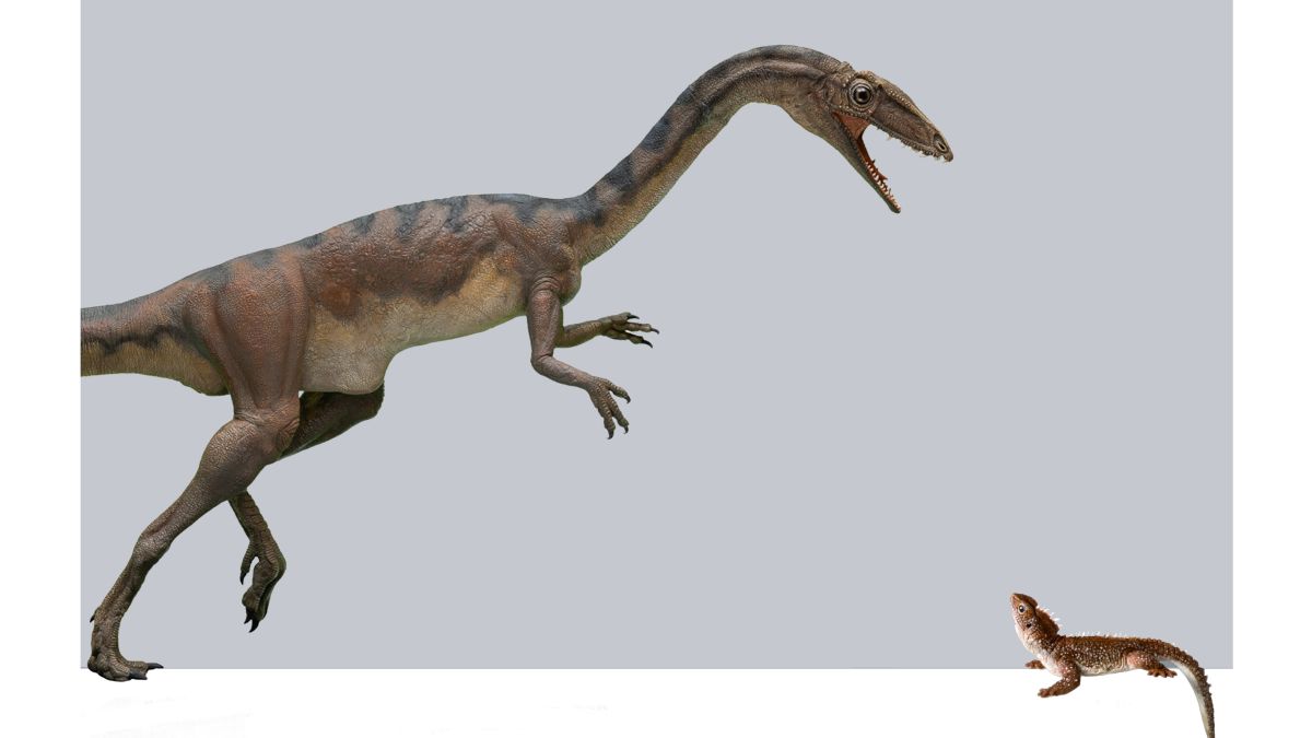 Scientists In Switzerland Discover A New Dinosaur Species Cnn