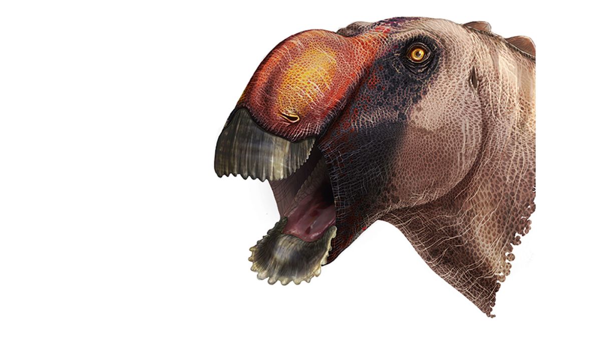 Scientists Discover New Species of Giant Dinosaur - Ledumahadi Mafube