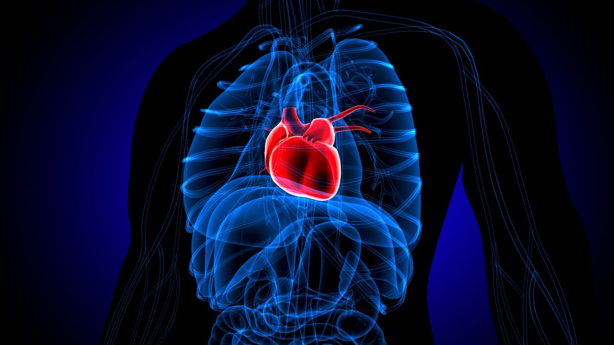 Broken heart syndrome and cancer are connected, scientists say
