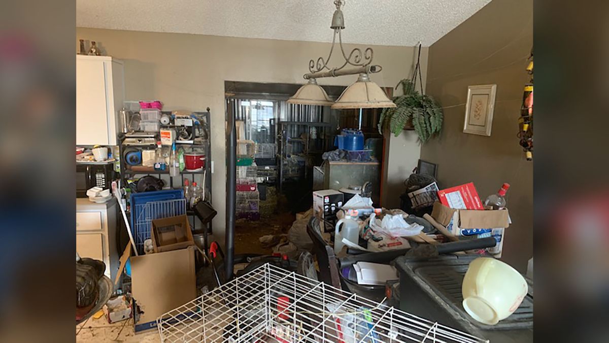 3 children were found living ankle-deep in trash in a house with 245 animals  | CNN