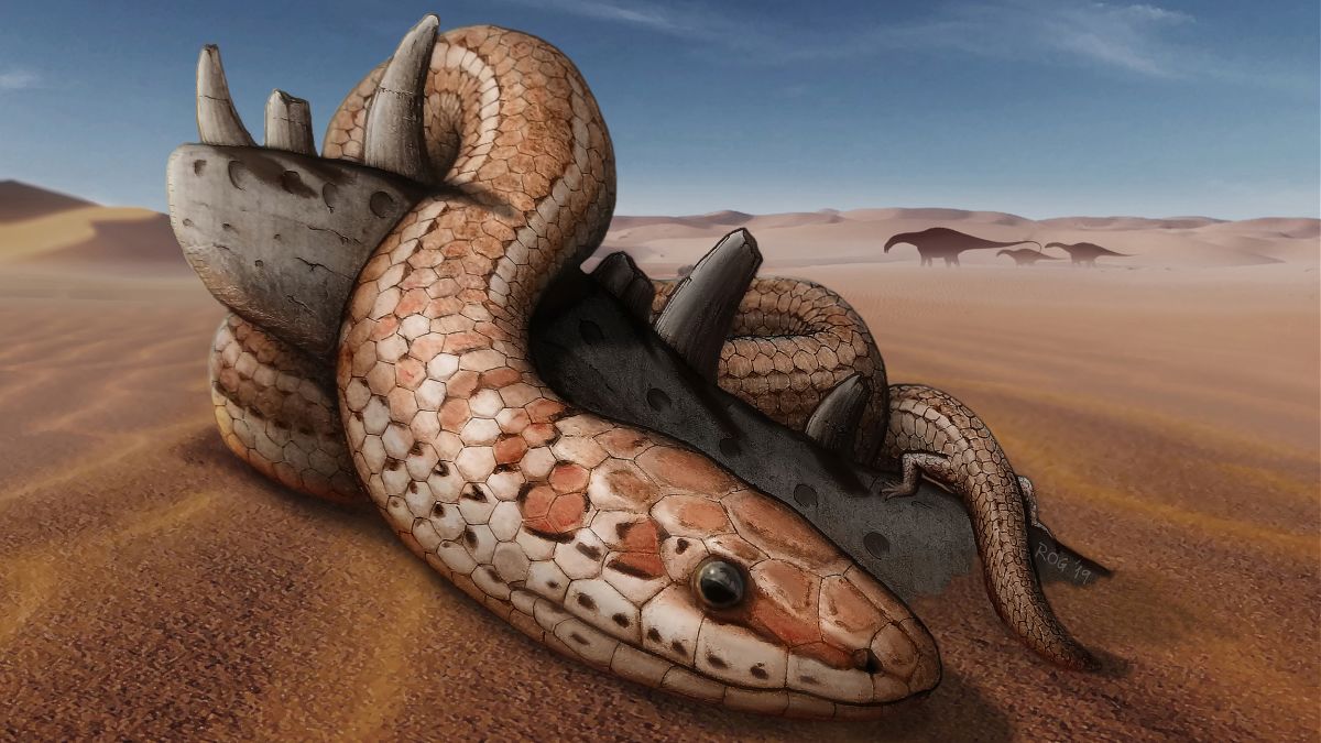 Who created the first Snake?