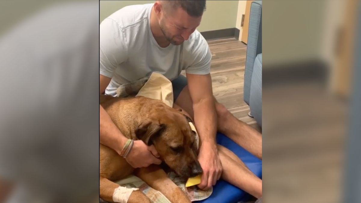 Tim Tebow shares his emotional goodbye to Bronco, his dog of 9