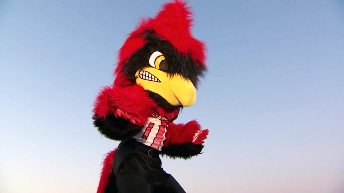 The History of Louie the Cardinal Bird, the Louisville Cardinals mascot 