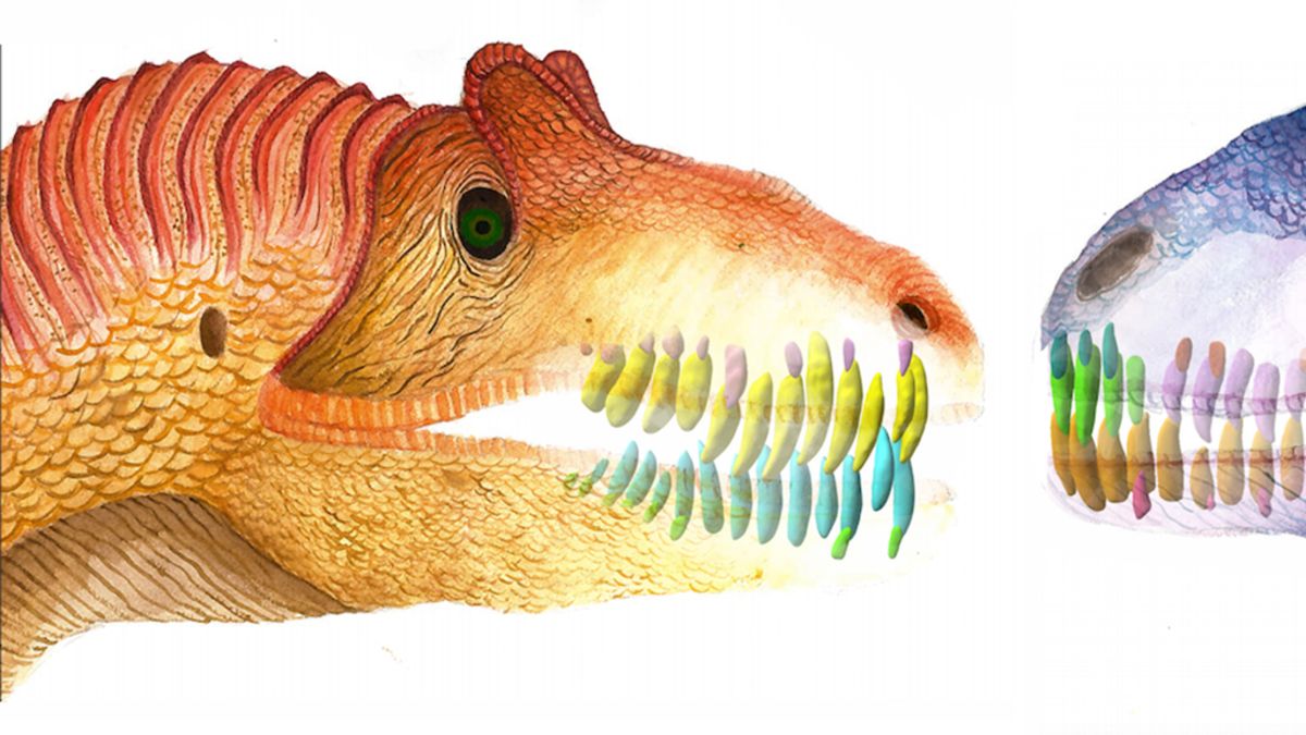 Scientists Discover New Species of Giant Dinosaur - Ledumahadi Mafube