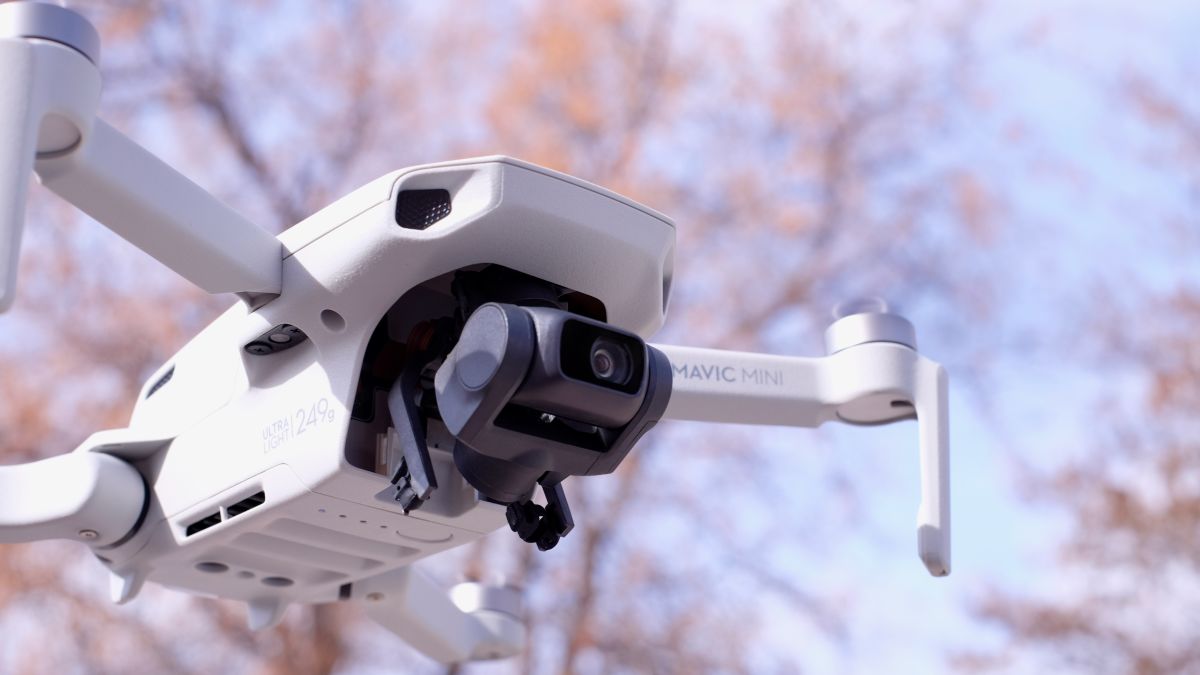 Our First Impressions Of Dji S Mavic Mini Incredible Fun