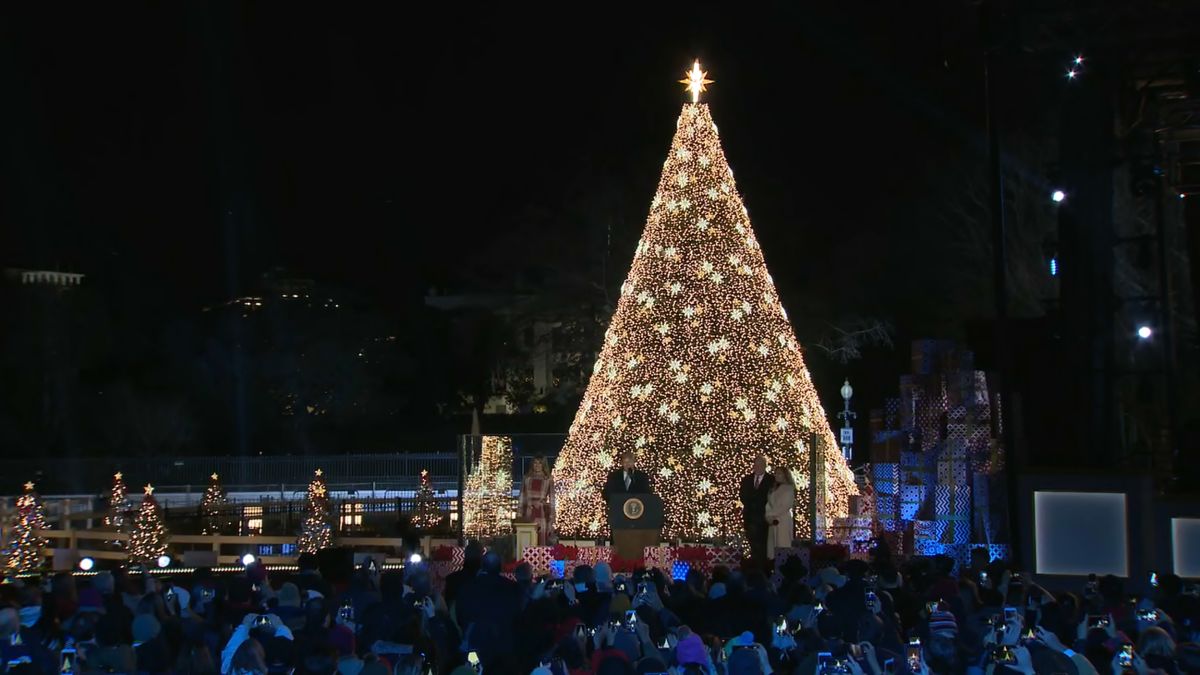 christmas tree with lots of lights