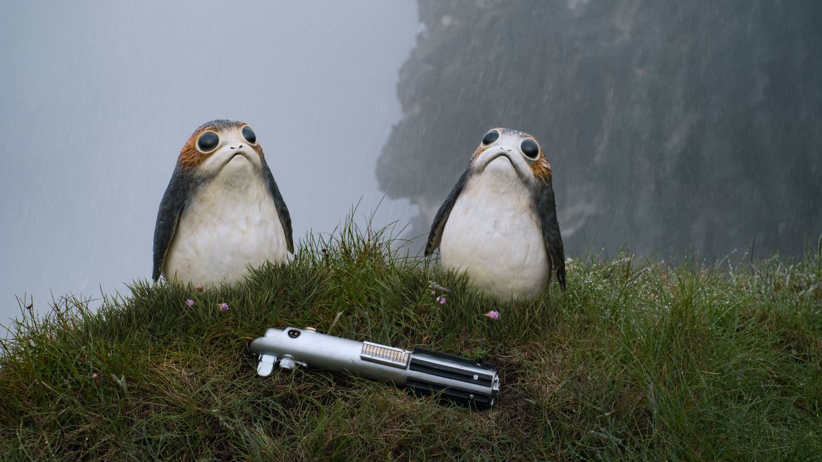 Here's why porgs exist in 'Star Wars: The Last Jedi